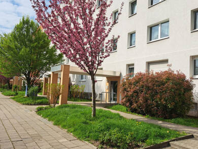 Wohnung zur Miete 343 € 3 Zimmer 57,3 m² 4. Geschoss frei ab 01.09.2025 Hallorenstraße 31 Nördliche Neustadt Halle (Saale) 06122