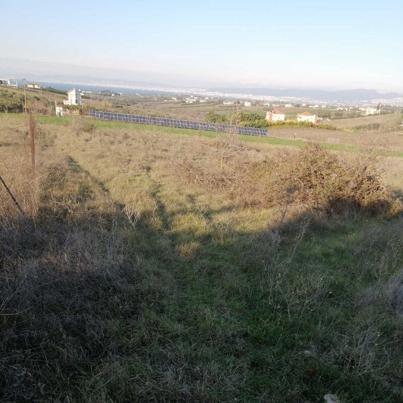 Land-/Forstwirtschaft zum Kauf 150.000 € 5.856 m²<br/>Grundstück Thessaloniki