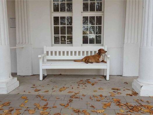 Lagerhalle zum Kauf 220.000 € 700 m² Lagerfläche Rünthe Bergkamen 59192