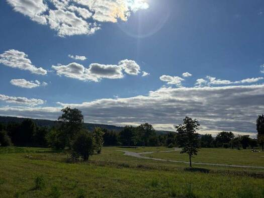 Bauernhaus zur Miete 4.500 € 8 Zimmer 320 m² 1.000 m² Grundstück frei ab 01.06.2026 Saarmund 14558