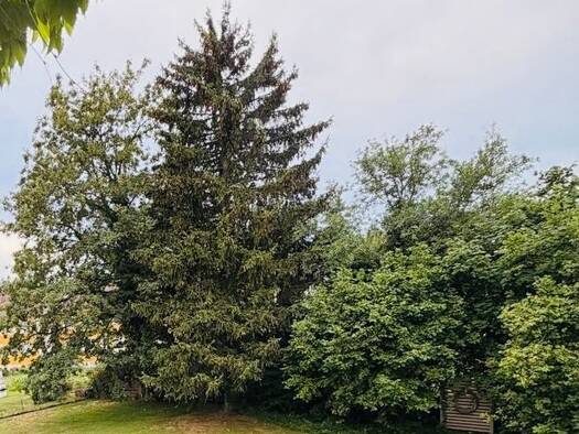 Mehrfamilienhaus zum Kauf provisionsfrei 590.000 € 3 Zimmer 196 m² 1.194 m² Grundstück frei ab sofort Kaufbeuren-Neugablonz Kaufbeuren 87600