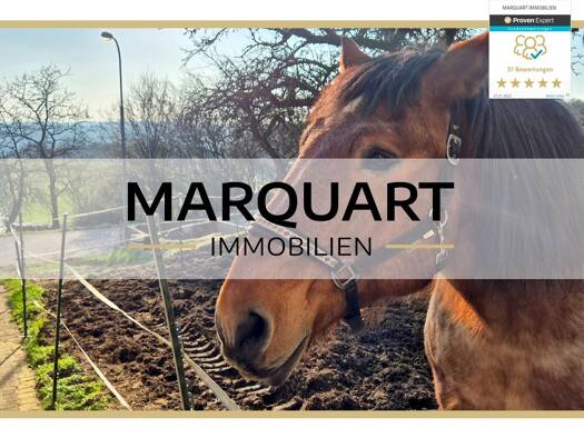 Mehrfamilienhaus zum Kauf 379.000 € 10 Zimmer 284 m² 1.773 m² Grundstück Klosterhöfe Schlüchtern 36381