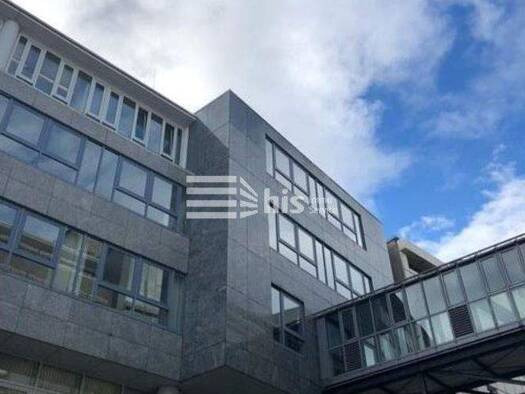 Bürofläche zur Miete provisionsfrei 12,50 € 490 m² Bürofläche teilbar ab 490 m² Gärten b Wöhrd Nürnberg 90489