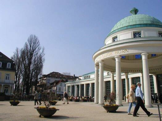 Mehrfamilienhaus zum Kauf 55 Zimmer 1.200 m² 700 m² Grundstück Bad Pyrmont 31812