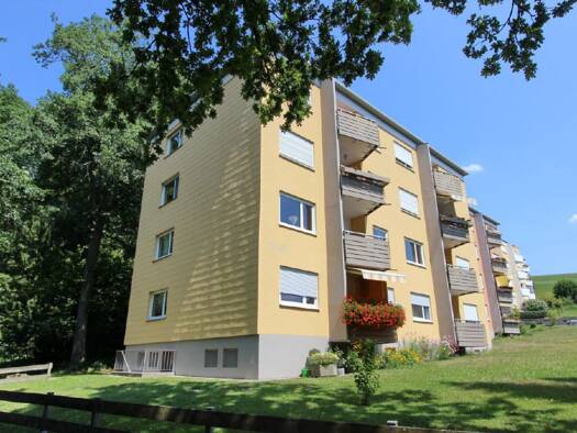 Studio zum Kauf 128.000 € 1 Zimmer 44 m² Wangen 88239