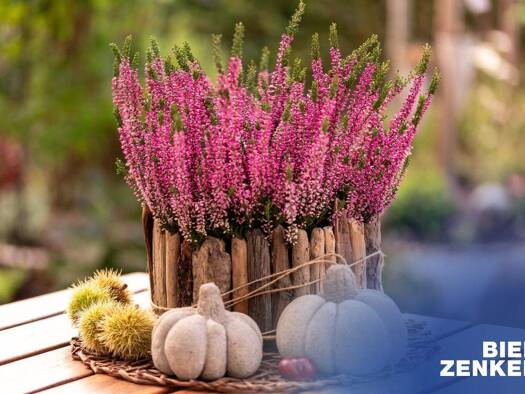 Haus zum Kauf 523.560 € 5 Zimmer 136 m² 400 m² Grundstück Altenhaßlau Linsengericht 63589