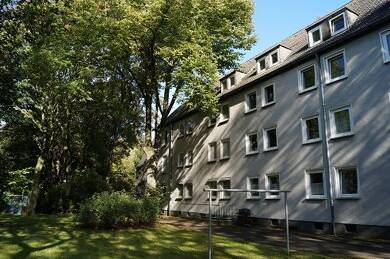 Wohnung zur Miete 289 € 2 Zimmer 48 m² EG frei ab 30.05.2025 Buddestraße 4 Scholven Gelsenkirchen 45896
