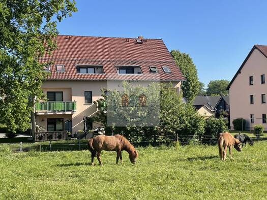 Mehrfamilienhaus zum Kauf 1.600.000 € 36 Zimmer 942 m² 3.000 m² Grundstück Röhrsdorf 09247