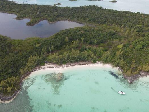 Bauernhof zum Kauf 12.137.342 € CWRX+7R Central Abaco