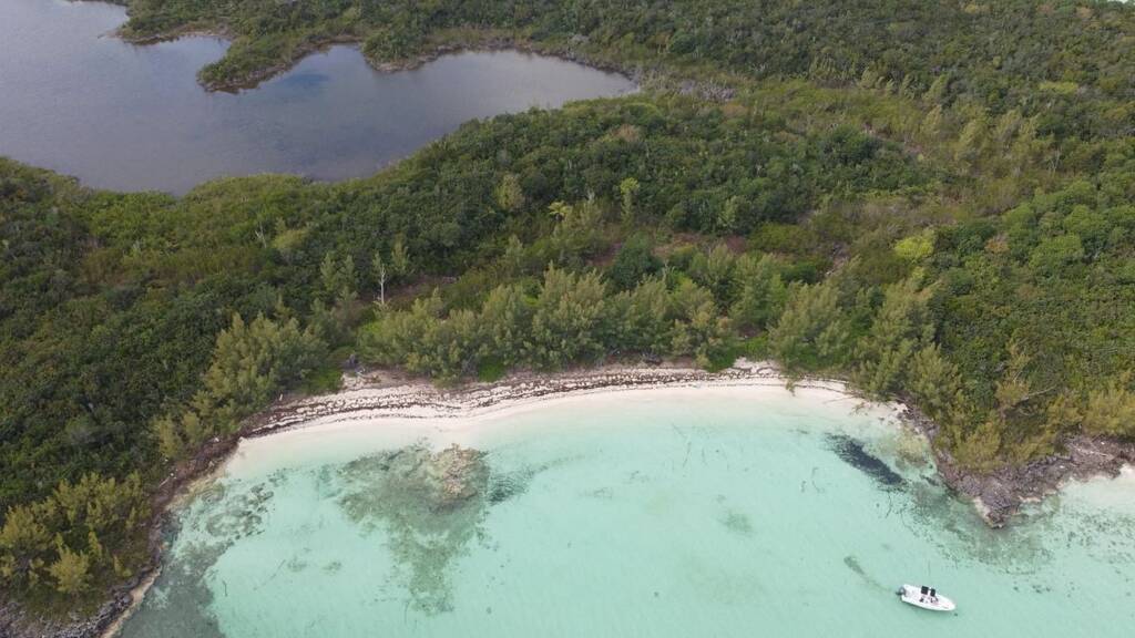 Bauernhof zum Kauf 12.137.342 € CWRX+7R Central Abaco