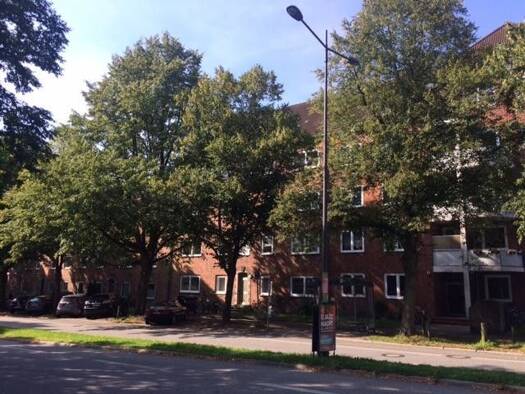 Wohnung zur Miete 670 € 2 Zimmer 51,6 m² 2. Geschoss frei ab 22.07.2026 Paul-Fuß-Str. 8 Wik Kiel 24106