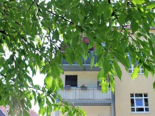 Wohnung zum Kauf 128.000 € 3 Zimmer 63 m² 1. Geschoss Freital 01705