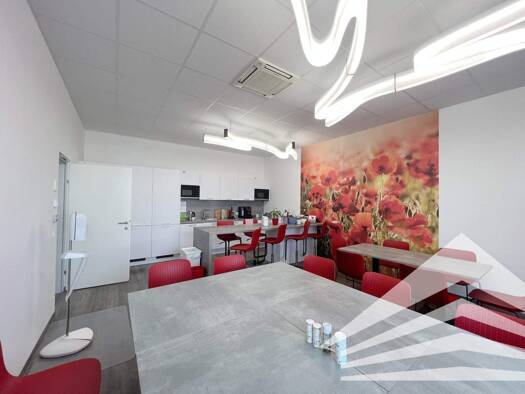 Bürofläche zur Miete 5.640 € 12 Zimmer 470 m² Bürofläche Dr. Herbert-Sperl-Ring 1 Leonding 4060