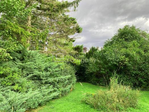 Grundstück zum Kauf 395.000 € 1.017 m² Grundstück Schwadorf 2432
