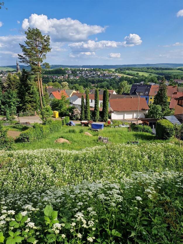 Grundstück zum Kauf 59.500 € 1.148 m² Grundstück Tholey Tholey 66636