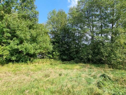 Grundstück zum Kauf 198.000 € 700 m² Grundstück Pressbaum 3021