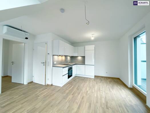 Wohnung zur Miete 676 € 2 Zimmer 43,6 m² frei ab 01.10.2026 Pawlikgasse 9 Donaustadt 1220