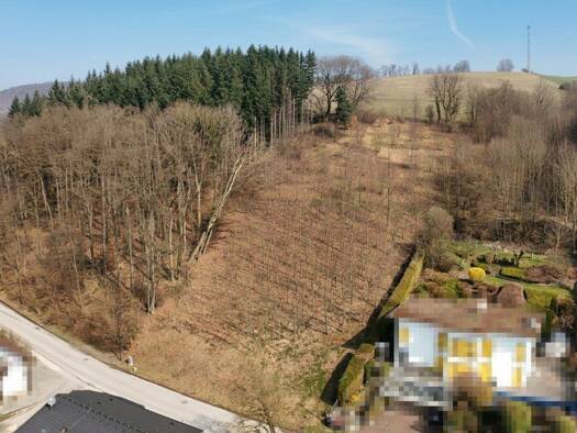 Grundstück zum Kauf 390.000 € 3.956 m² Grundstück Purkersdorf 3011