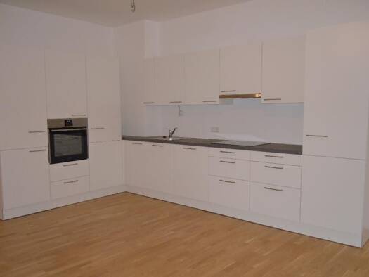 Wohnung zur Miete 968 € 2 Zimmer 91,1 m² Pfarrplatz 19 Linz Linz 4020