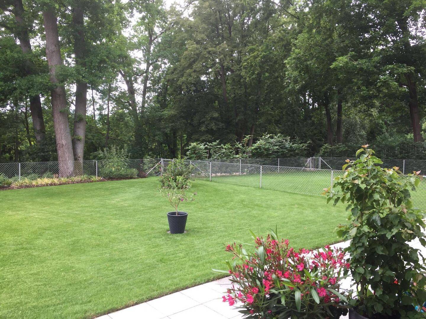 Property thumbnail 15