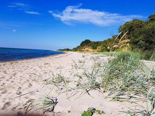 Grundstück zum Kauf provisionsfrei 900 m² Grundstück Kaltenhof Nordwestmecklenburg - Landkreis - Dassow 23942