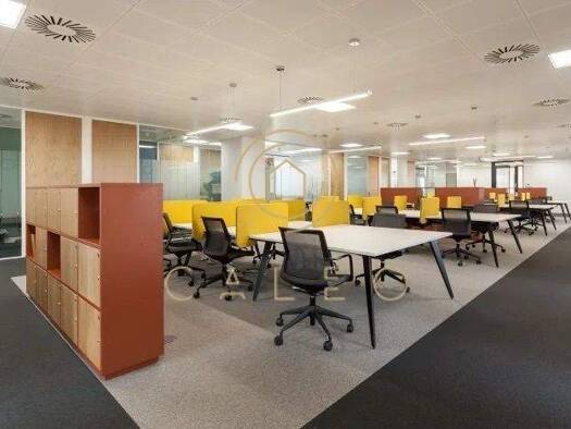 Bürofläche zur Miete provisionsfrei 20 m² Bürofläche teilbar ab 1 m² Frankfurt Frankfurt (Oder) 15230