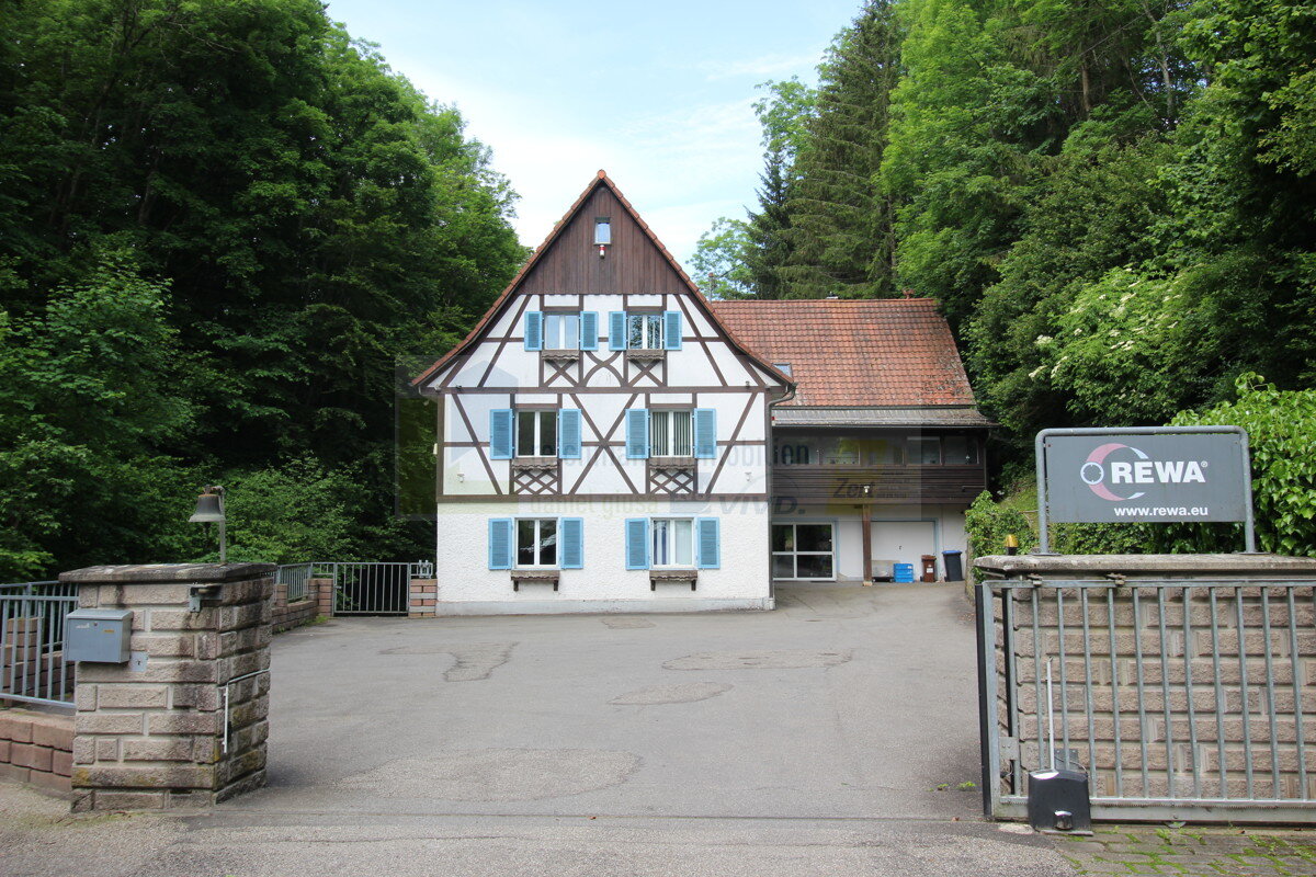 Haus zum Kauf 750.000 € 4.367 m²<br/>Grundstück Blumberg Blumberg 78176