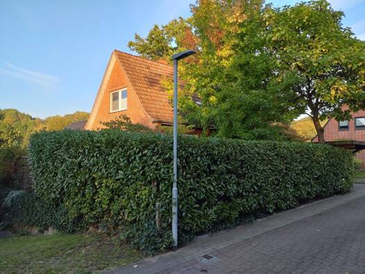 Einfamilienhaus zur Miete 1.120 € 3 Zimmer 80 m² frei ab 01.01.2027 Geesthacht 21502