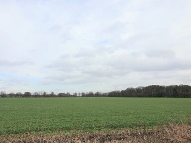 Landwirtschaftliche Fläche zum Kauf 69.000 m² Grundstück Hagen Vechta 49377