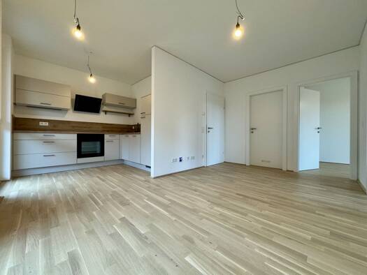 Wohnung zur Miete 750 € 3 Zimmer 54,7 m² frei ab sofort Thalstraße 87-89 Gösting Graz 8051