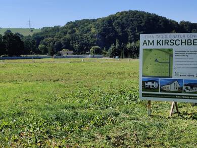 Grundstück zum Kauf provisionsfrei 72.360 € 804 m² Grundstück Großweitzschen Großweitzschen 04720
