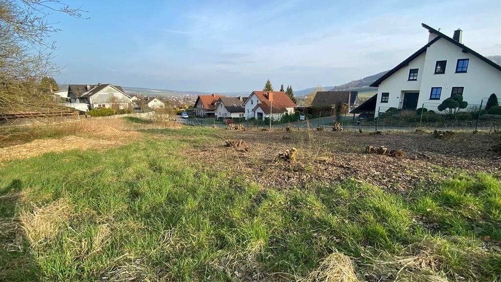 Grundstück zum Kauf 45.000 € 769 m² Grundstück Unterm Eisberg Beverungen 37688