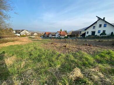 Grundstück zum Kauf 45.000 € 769 m² Grundstück Unterm Eisberg Beverungen Beverungen 37688