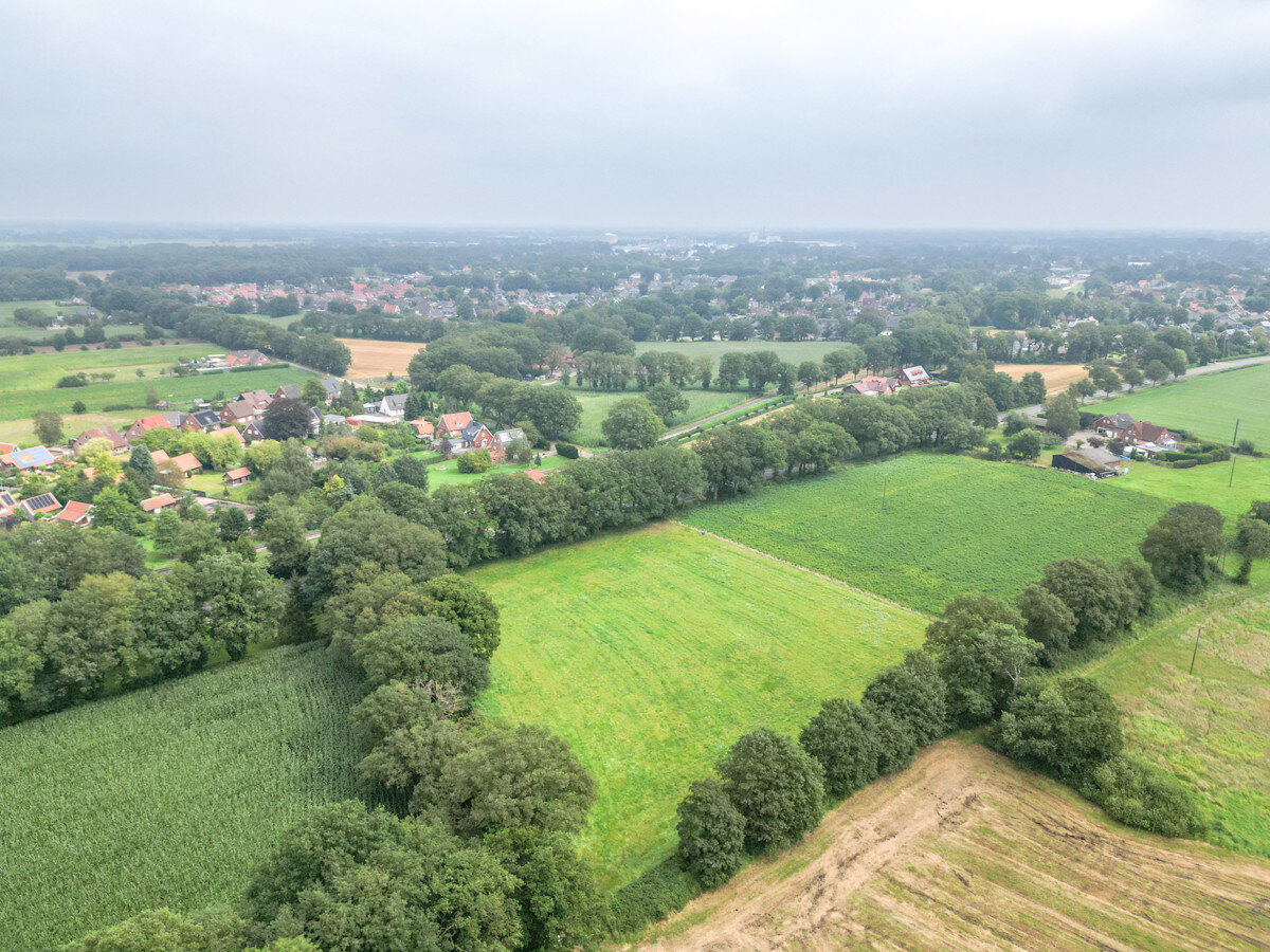 Land-/Forstwirtschaft zum Kauf 8.614 m²<br/>Grundstück Volzel Emlichheim 49824