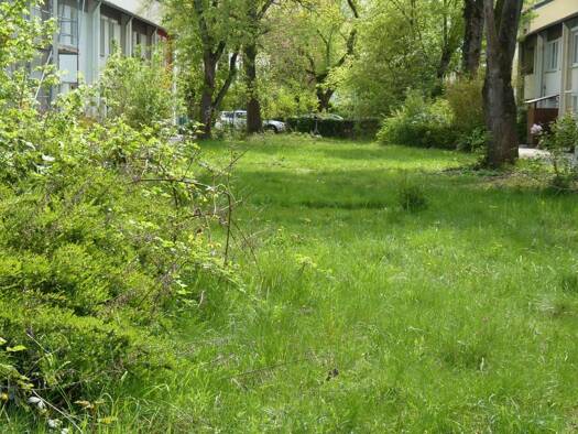 Grundstück zum Kauf provisionsfrei 8.000 € 190 m² Grundstück frei ab sofort Tannenbusch Bonn 53119