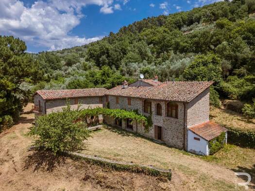 Bauernhaus zum Kauf 973.000 € 7 Zimmer 660 m² 35.000 m² Grundstück frei ab sofort Castelfranco Piandiscò 52026