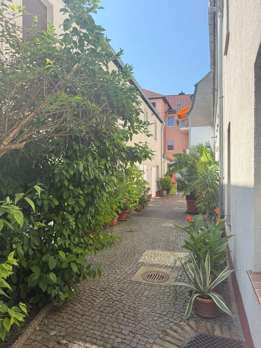 Haus – Elsterwerda, Elbe-Elster - Ansicht 4