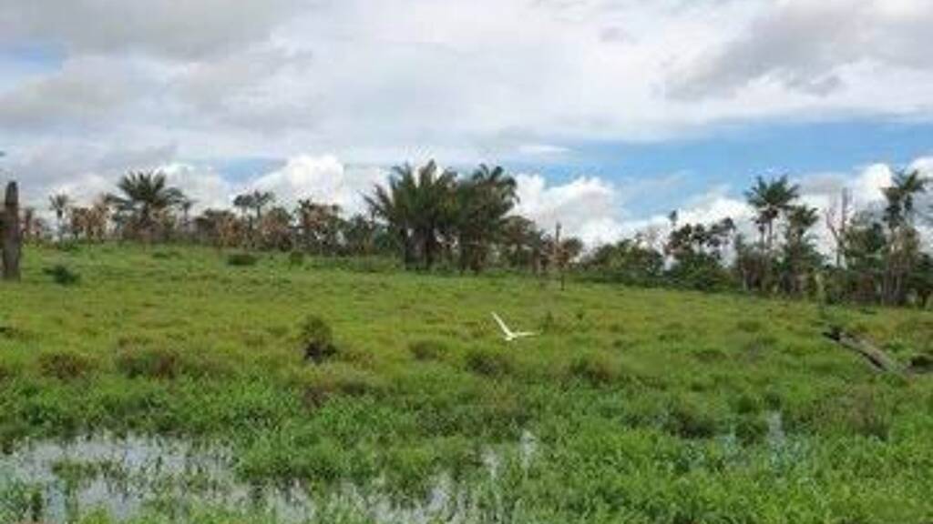 Grundstück zum Kauf 390.000 € 9.999.999 m² Grundstück Iracema 69348000