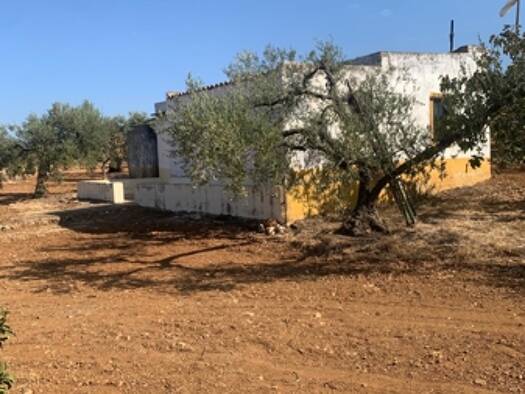 Bauernhaus zum Kauf provisionsfrei 80.000 € 4 Zimmer 120 m² 15.000 m² Grundstück Parterna del Campo 21880