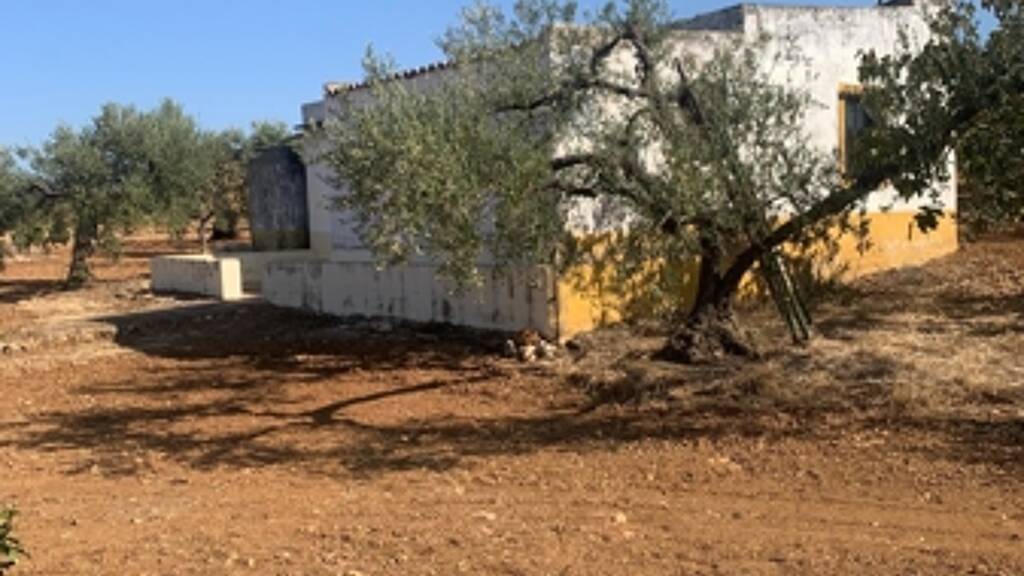 Bauernhaus zum Kauf provisionsfrei 80.000 € 4 Zimmer 120 m² 15.000 m² Grundstück Parterna del Campo 21880