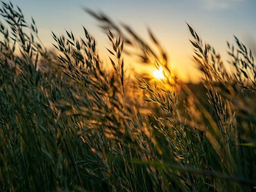 Landwirtschaftliche Fläche zum Kauf 512.000 € 40.160 m² Grundstück Altmannstein 93336