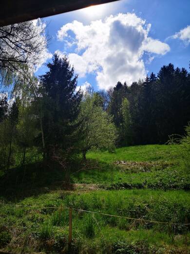 Wohnung zum Kauf 169.000 € 2 Zimmer 54,6 m² EG frei ab sofort Wiggensbach Wiggensbach 87487