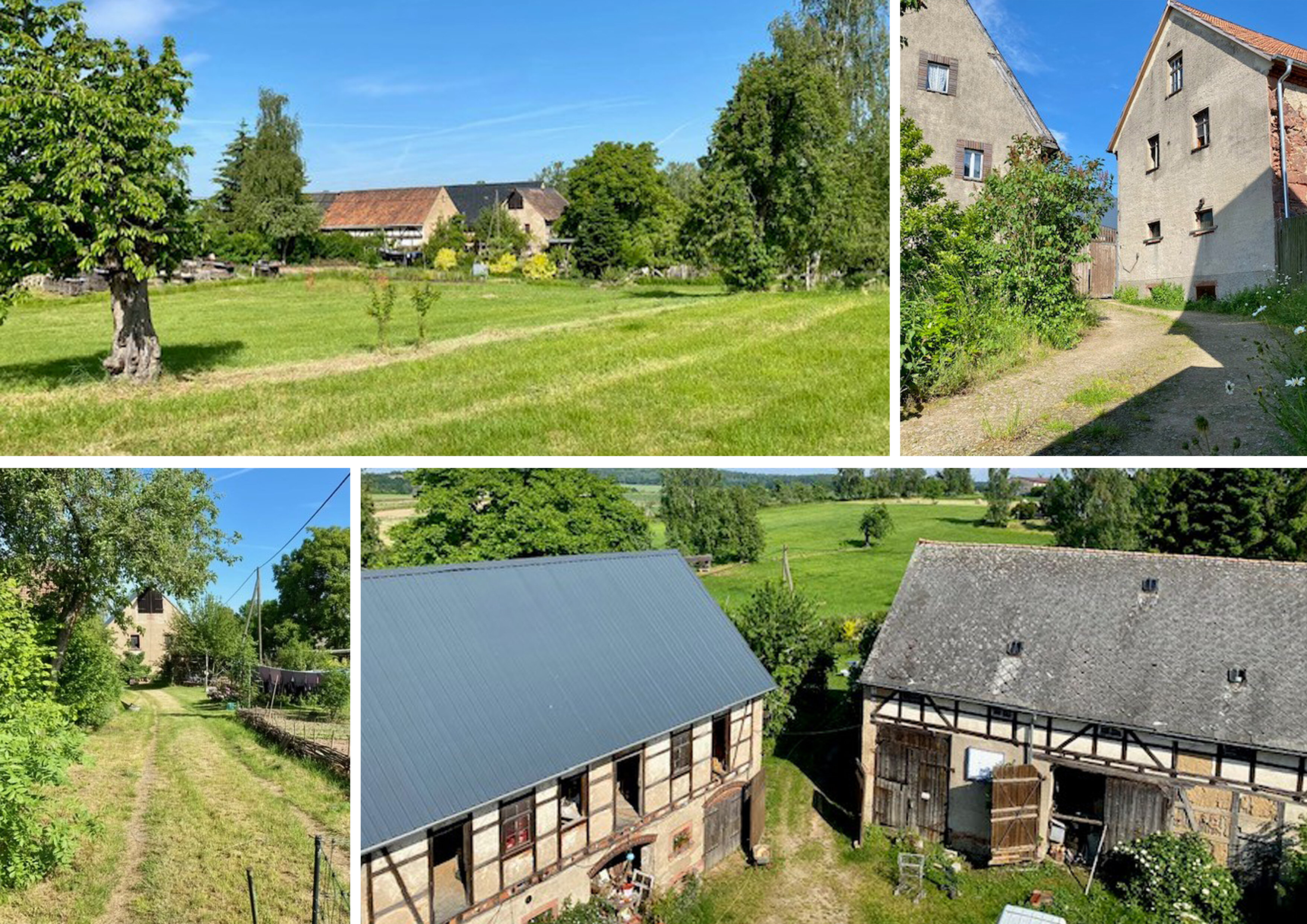 Haus zum Kauf 280.000 € 9.366 m²<br/>Grundstück Breitenborn Rochlitz 09306