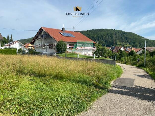 Grundstück zum Kauf provisionsfrei 250.000 € 2.442 m² Grundstück Gauselfingen Burladingen 72393