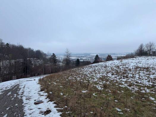 Grundstück zum Kauf 879.000 € 4.001 m² Grundstück Kematen an der Krems 4531