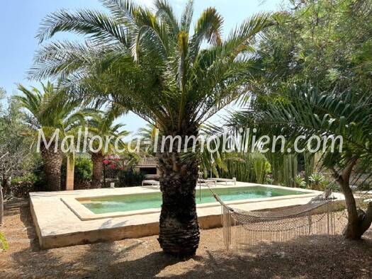 Landhaus zum Kauf provisionsfrei 1.250.000 € 7 Zimmer 17.638 m² Grundstück PortoPetro Mallorca