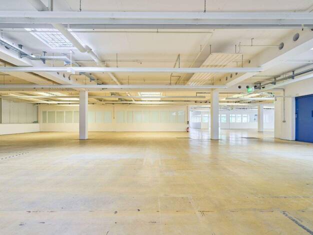 Bürofläche zur Miete provisionsfrei 4 € 1.568 m² Bürofläche Benzstraße Frickenhausen 72636