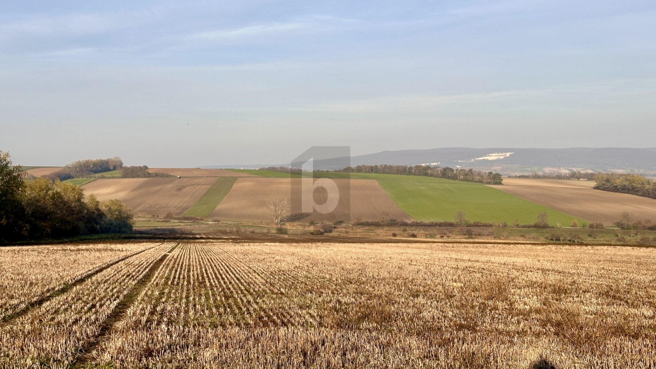 Land-/Forstwirtschaft zum Kauf 79.403 m²<br/>Grundstück Zillingtal 7034