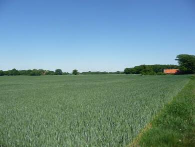 Land-/Forstwirtschaft zum Kauf 33.538 m² Grundstück Bersenbrück Bersenbrück 49593