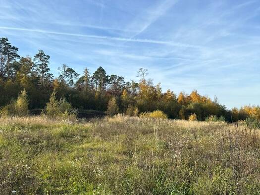 Grundstück zum Kauf provisionsfrei 425.000 € 4.763 m² Grundstück Neustadt Neustadt an der Aisch 91413